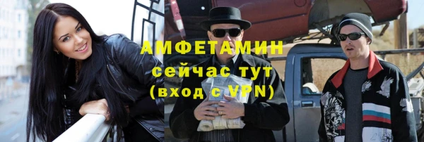 PSILOCYBIN Кулебаки