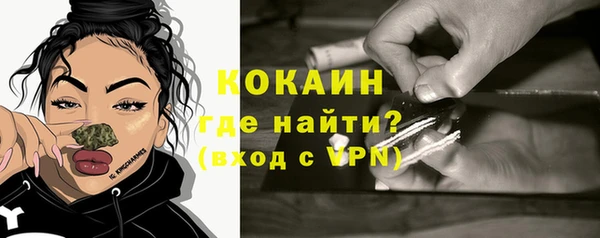 PSILOCYBIN Кулебаки