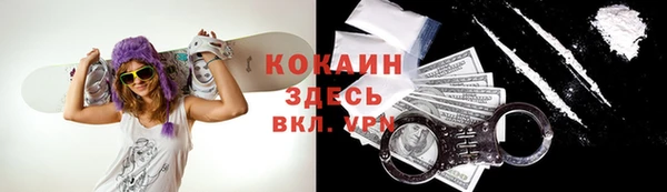 PSILOCYBIN Кулебаки